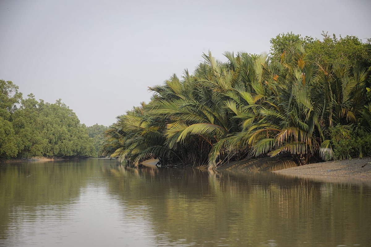 রোমাঞ্চকর পথে জামতলা সৈকত