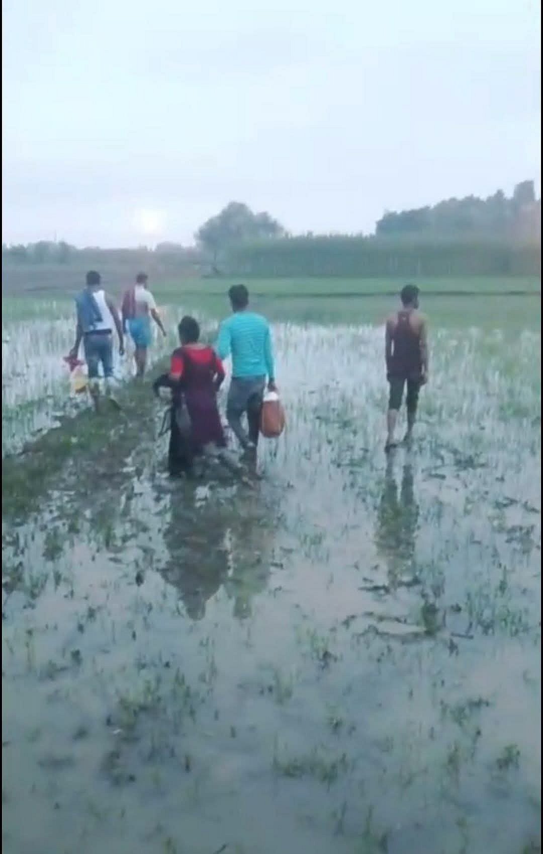 মেহেরপুর সীমান্তে পাঁচজনকে ঠেলে পাঠানোর চেষ্টা বিএসএফের, রুখে দিল বিজিবি
