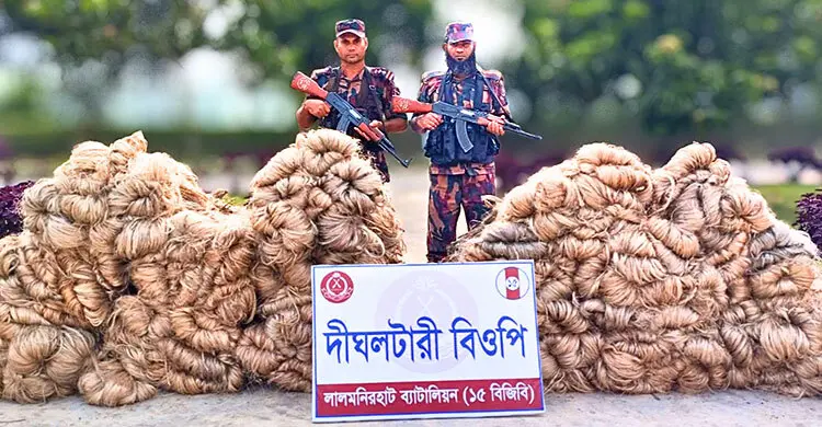 পাটের ফলন বিপর্যয়ে হতাশ কৃষক, পাচার রোধে তৎপর বিজিবি