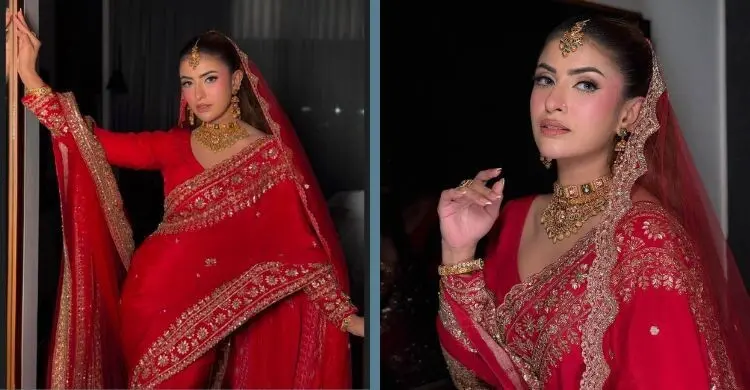 শখ ফিরলেন নতুন সাজে, নজর কাড়ল তার রাজকীয় লুক