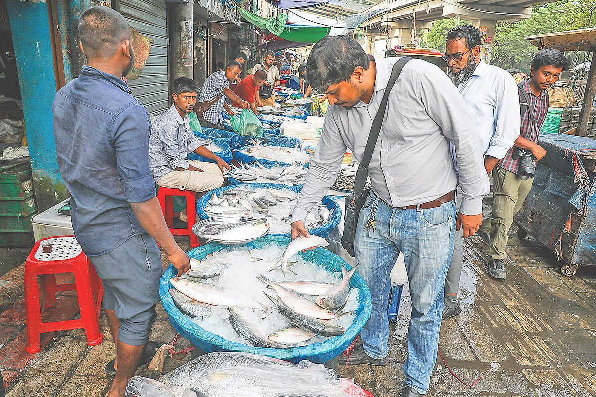 সাগরে মাছ ধরার নৌযান বাড়ছে, অতি আহরণে কমছে ইলিশ