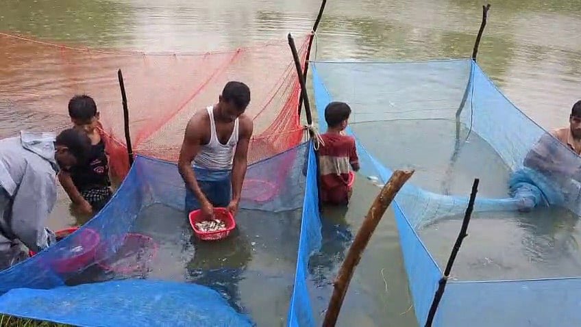 মাছের পোনা বিক্রেতা যেভাবে হলেন ১৭টি খামারের মালিক