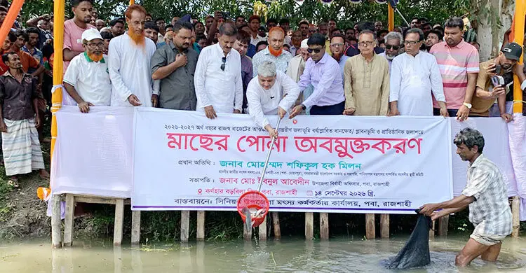 রাজশাহীর পবার ১৯ জলাশয়ে ৫৪৩ কেজি মাছের পোনা অবমুক্ত