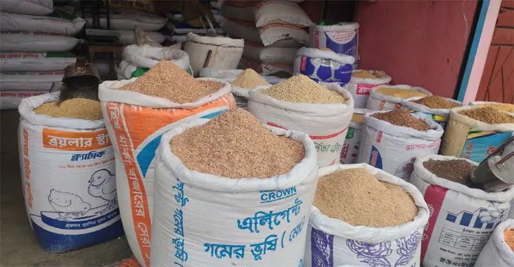 দাম বেড়েছে সব ধরনের ফিডের, চাপে খামারিরা