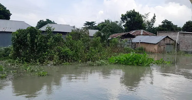 দৌলতপুরে ৬০ হাজার মানুষ পানিবন্দি