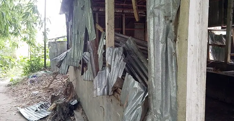 দিনদুপুরে আওয়ামী লীগ নেতাদের তাণ্ডব, লুট করা গরু দিয়ে ভূরিভোজ