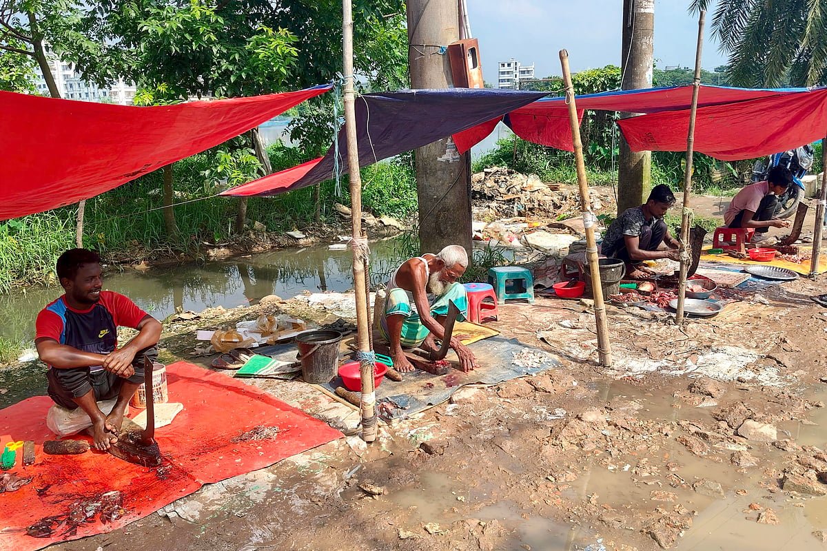 নবতিপর নিয়ামতের জীবনসংগ্রাম