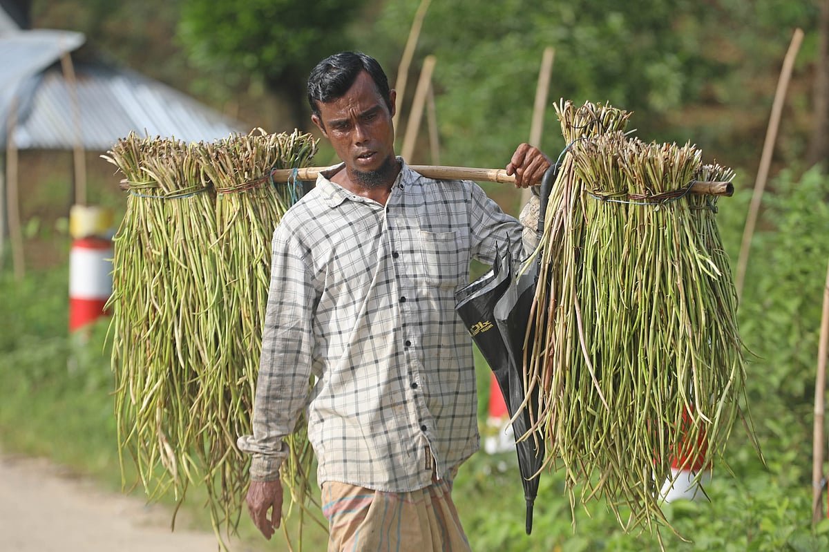 ‘টিলার লতা’ বিক্রি
