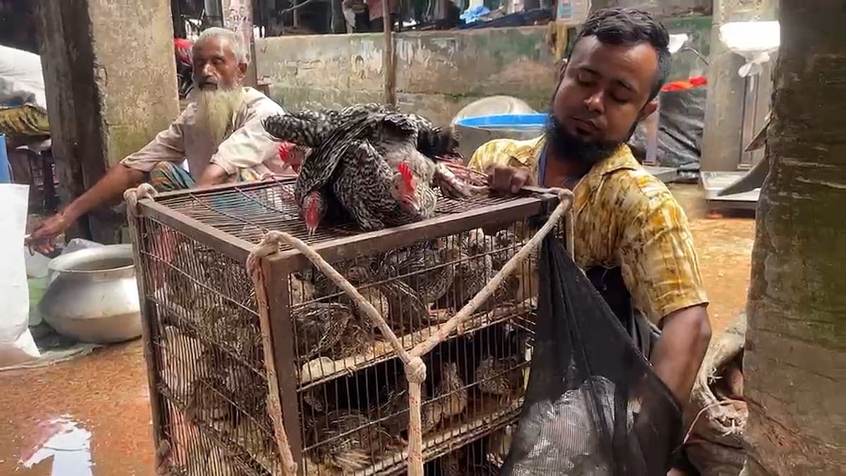 চোখে আলো নেই, পায়ে শক্তি নেই—তবু দৃষ্টিহীন ইউনুসের আয়েই চলে সংসার