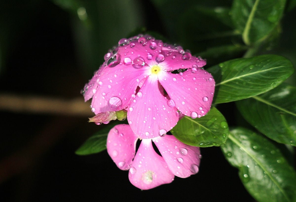 একঝলক (৩০ আগস্ট ২০২৬)