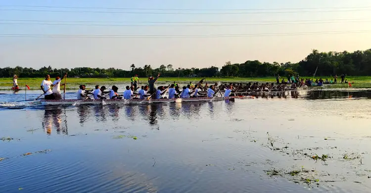 বিলে নৌকাবাইচ, হারানো গ্রামীণ উৎসবে মাতলো কুষ্টিয়ার হাজারো মানুষ