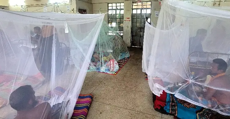 ময়মনসিংহে ডেঙ্গুতে যুবকের মৃত্যু, হাসপাতালে ভর্তি ১০১