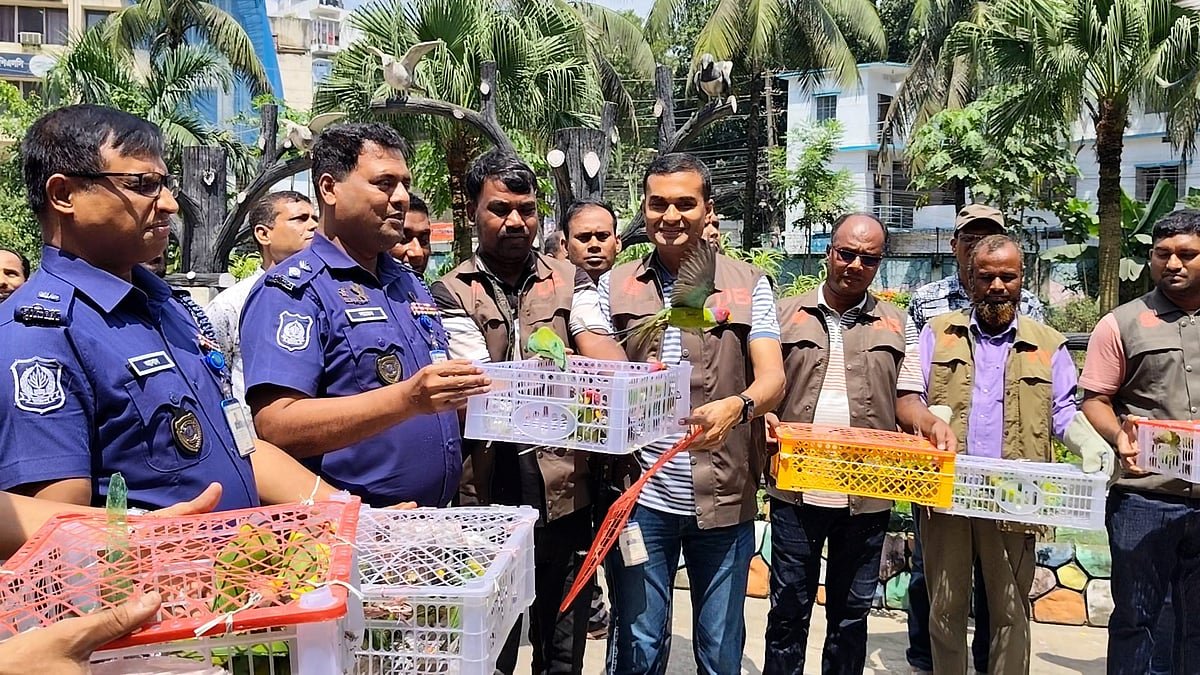 যাত্রীবাহী বাস থেকে ১০৩টি টিয়া উদ্ধার, আকাশে অবমুক্ত করল পুলিশ