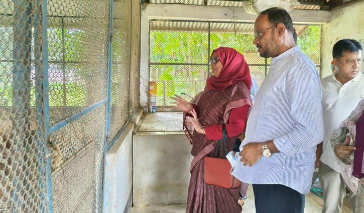 কেন্দ্রীয় মুরগি খামারে বাচ্চা উৎপাদন বাড়ানোর নির্দেশ প্রতিমন্ত্রীর
