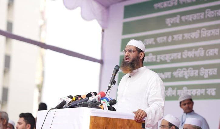 সরকার জাতির সঙ্গে প্রতারণা করেছে: মামুনুল হক