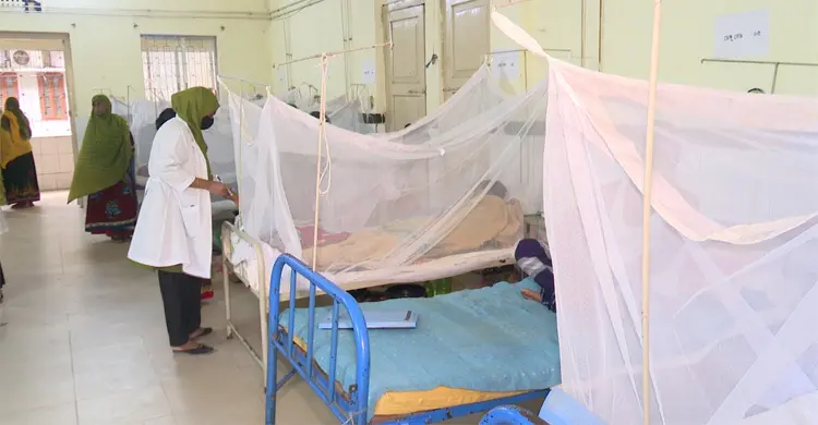 সাতক্ষীরায় ২৪ ঘণ্টায় ডেঙ্গু আক্রান্ত হয়ে হাসপাতালে ভর্তি ২৫ জন