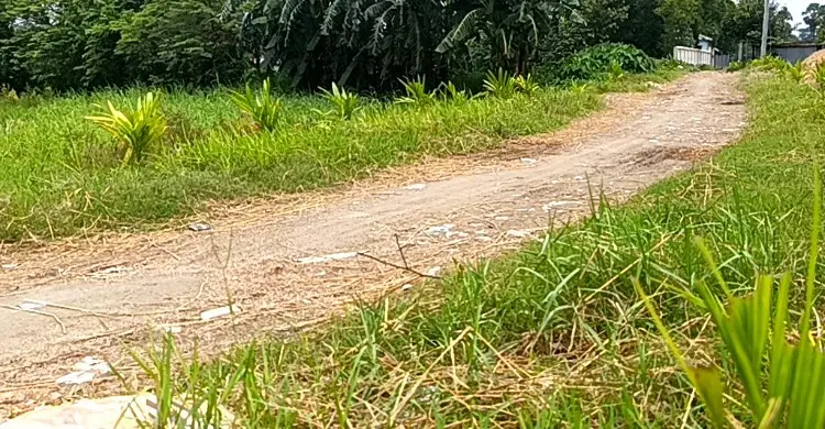 এক সড়কে বদলে গেছে ১৫ গ্রামের মানুষের ভাগ্য