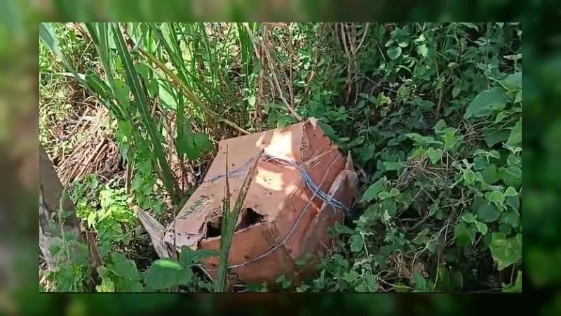 ফরিদপুরে তিন কার্টনে মিলল অজ্ঞাত ব্যক্তির ছয় টুকরো মরদেহ