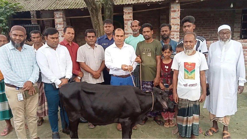  প্রতিমন্ত্রীর গাড়ির ধাক্কায় নিহত ফিরোজার পরিবারকে গাভী প্রদান