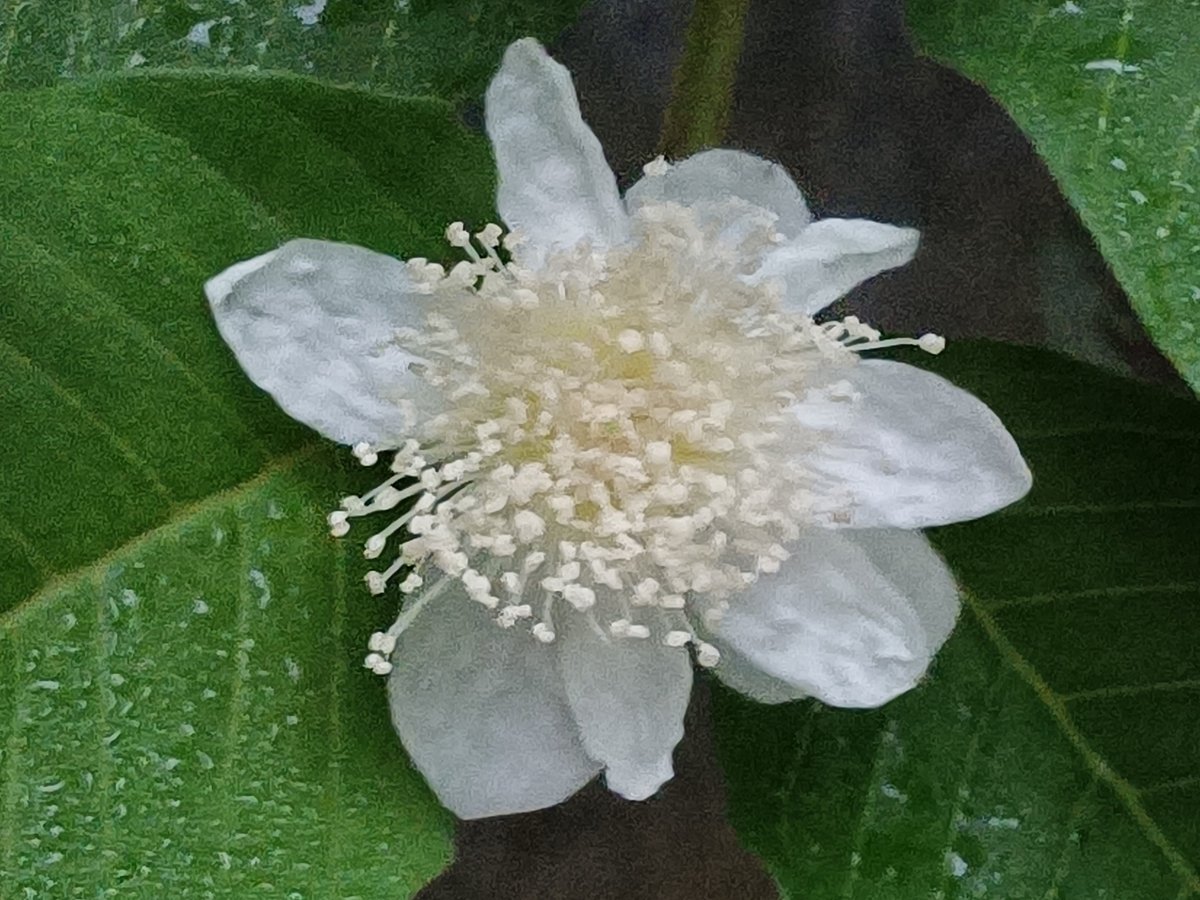 একঝলক (২০ সেপ্টেম্বর ২০২৬)
