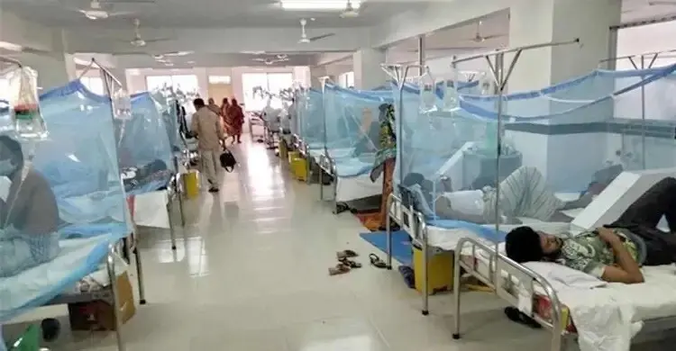 ডেঙ্গুতে আরও ৩ জনের মৃত্যু, হাসপাতালে ভর্তি ৪৫৮