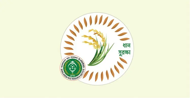 রাইস সলিউশন অ্যাপ, কৃষিতে কৃত্রিম বুদ্ধিমত্তা প্রয়োগের উদ্যোগ