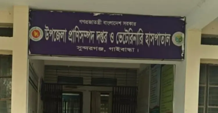গাইবান্ধায় ফের অ্যানথ্রাক্সের প্রাদুর্ভাব, উদাসীন প্রাণিসম্পদ দপ্তর