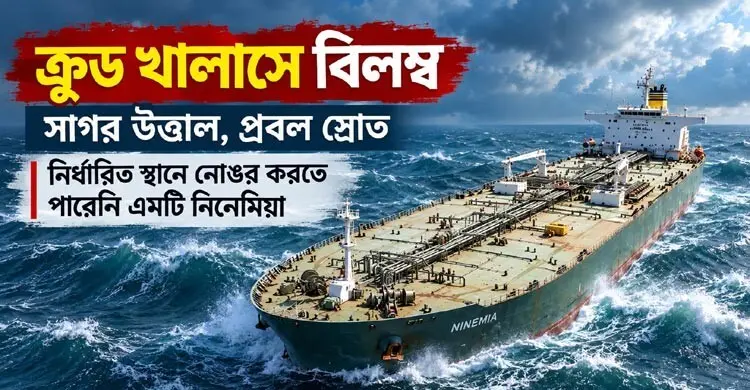 ৯ হাজার নটিক্যাল মাইল বেশি ঘুরে এসে দুর্যোগের মুখে এমটি নিনেমিয়া