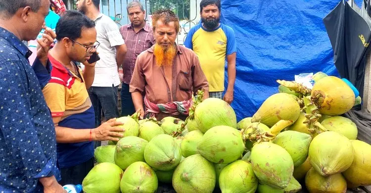 ডেঙ্গুর প্রকোপে ডাবের দাম আকাশছোঁয়া