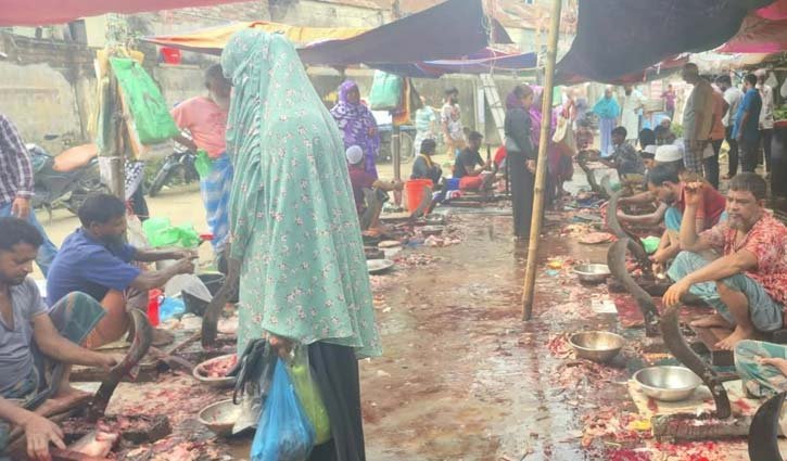 মাছ কেটে দিনে আয় ১২০০ টাকা