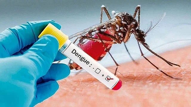 ডেঙ্গুতে আরও ৪ মৃত্যু, এক দিনে হাসপাতালে ১২৫২ রোগী