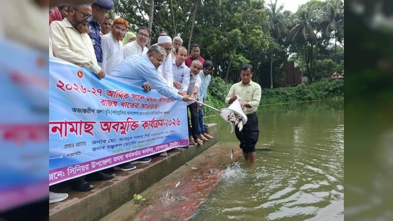গোপালপুরে মাছের পোনা অবমুক্ত করন উদ্বোধন করেন আব্দুস সালাম পিন্টু