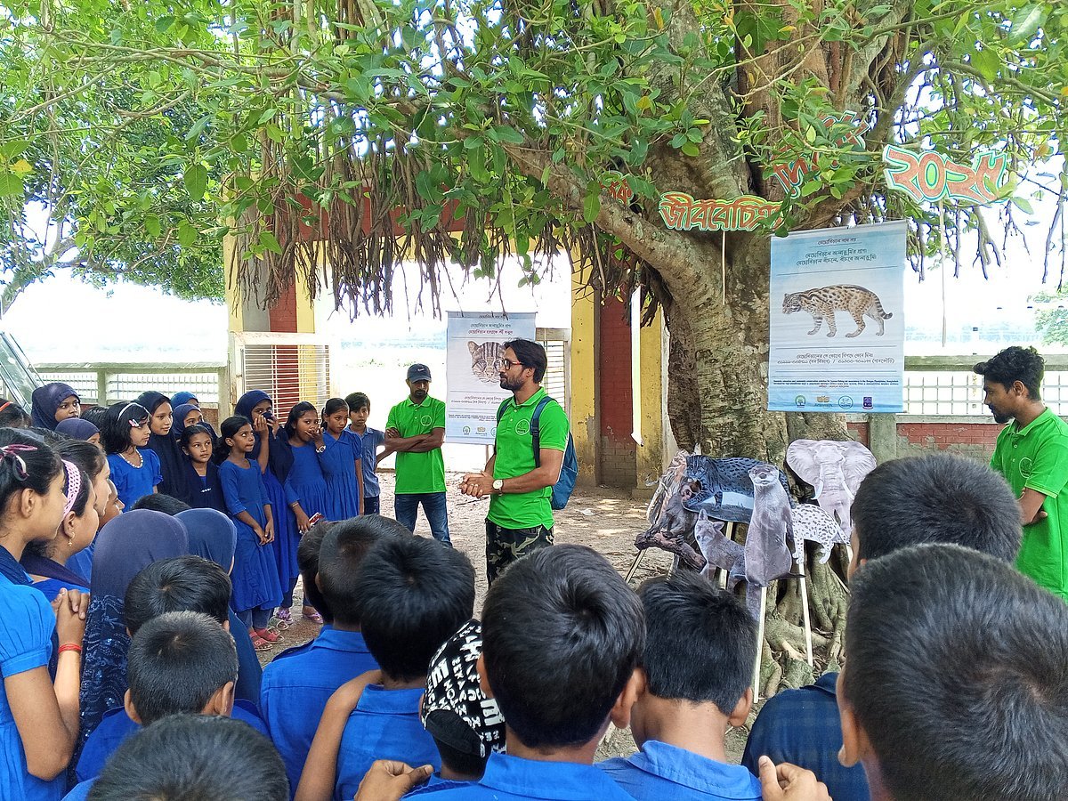 মেছো বিড়াল নিয়ে মানুষকে কেন সচেতন করছে চুয়াডাঙ্গার সংগঠন ‘পানকৌড়ি’