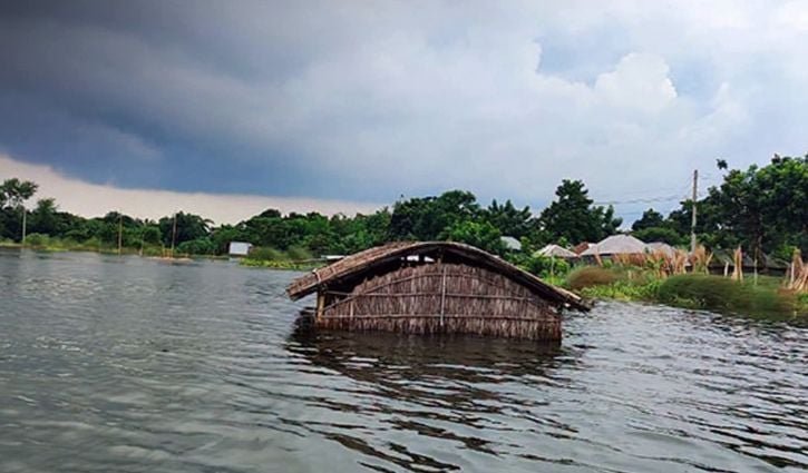 কুষ্টিয়ায় বন্যার পানিতে ৩৫০ হেক্টর ফসলের ক্ষতি
