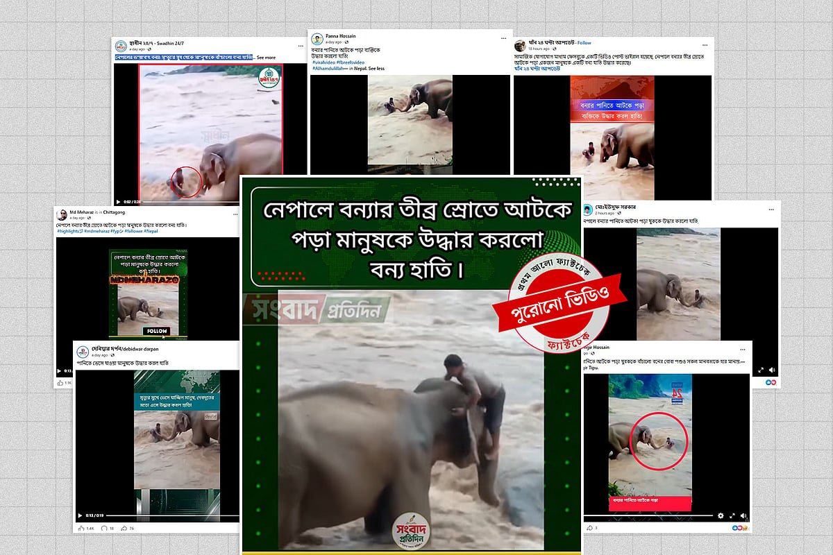 স্রোতের পানিতে আটকে পড়া ব্যক্তিকে উদ্ধার করছে হাতি—ভিডিওটি নেপালের বন্যার নয়