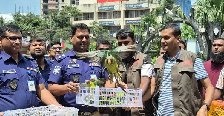 যাত্রীবাহী বাস থেকে শতাধিক টিয়া উদ্ধার, ওড়ানো হলো মুক্ত আকাশে