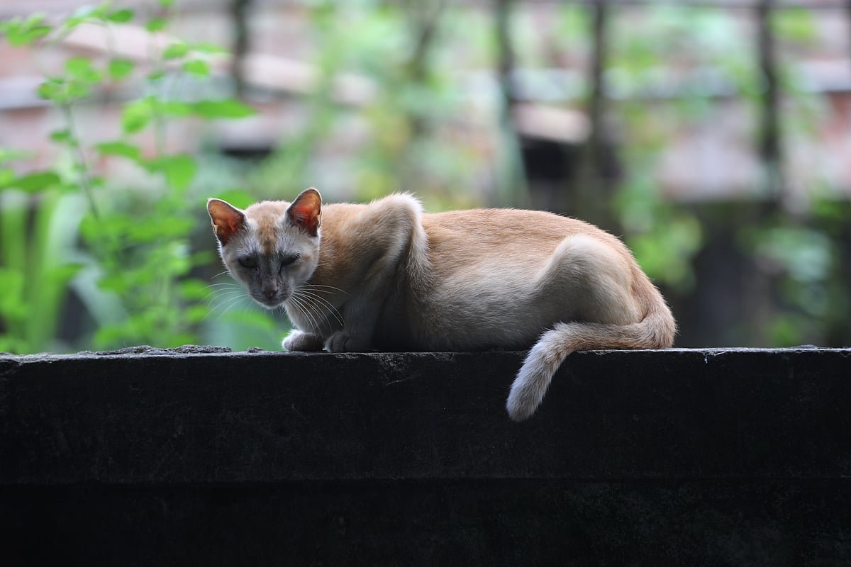 একঝলক (৯ সেপ্টেম্বর ২০২৬)