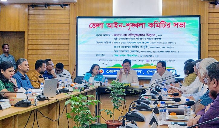 পালানো সরকার ফিরে এসেছে, এমন নজির নেই: রশিদুজ্জামান মিল্লাত 