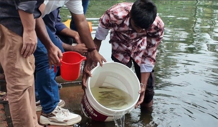 ঢাবির হলের পুকুরে ছাত্রদলের উদ্যোগে ১ হাজার মৎস্য পোনা অবমুক্ত