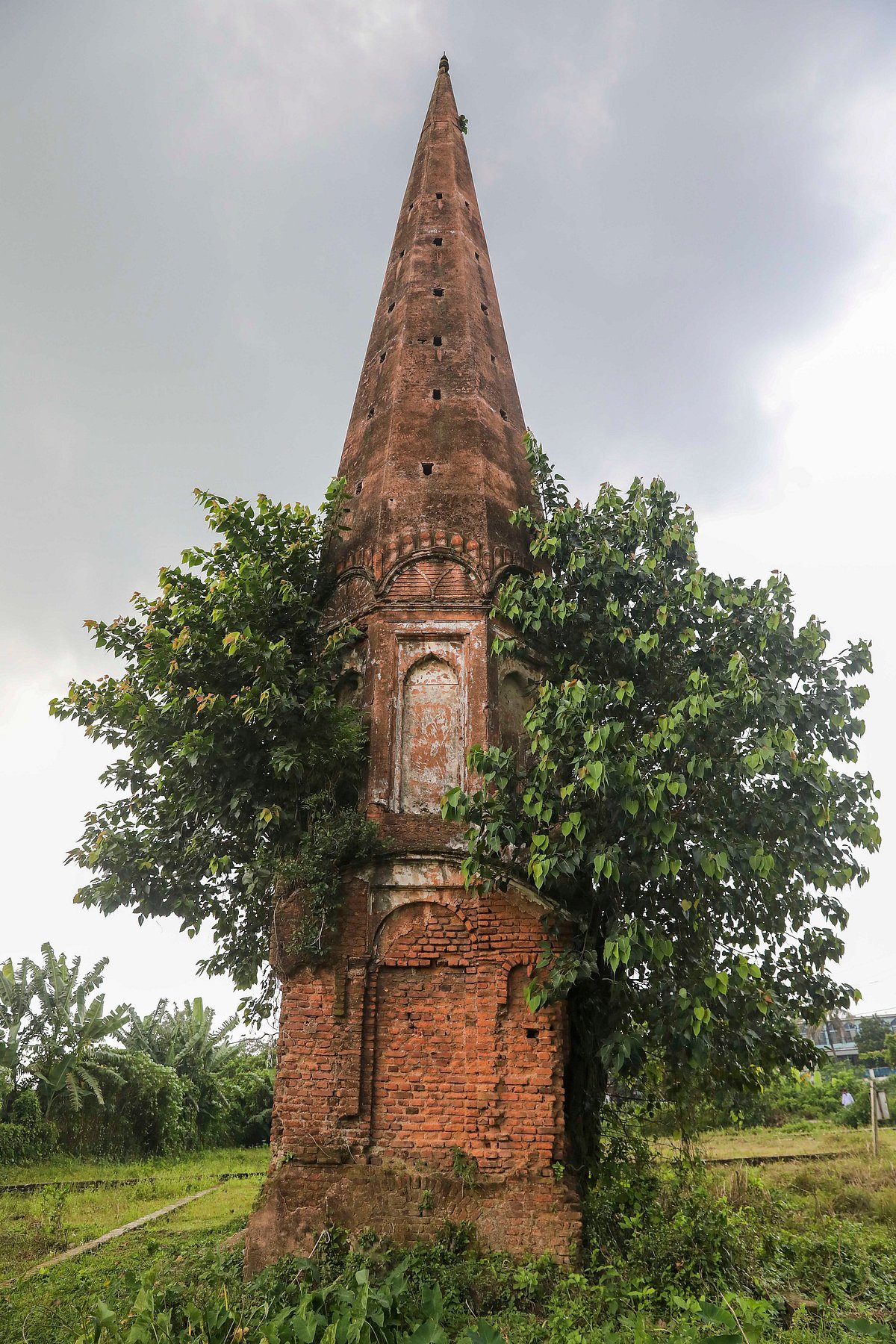 আরাকুলের মঠে পাখিদের ঘরদোর