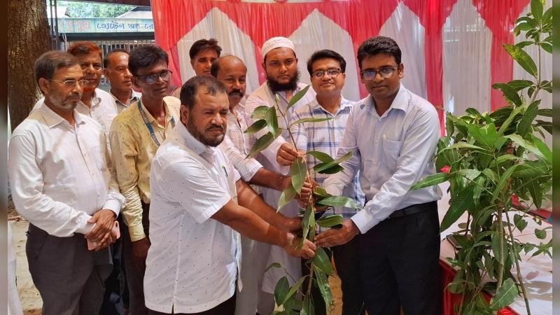 জলবায়ু মোকাবিলায় রৌমারীর বিভিন্ন শিক্ষা প্রতিষ্ঠানে গাছের চারা বিতরণ