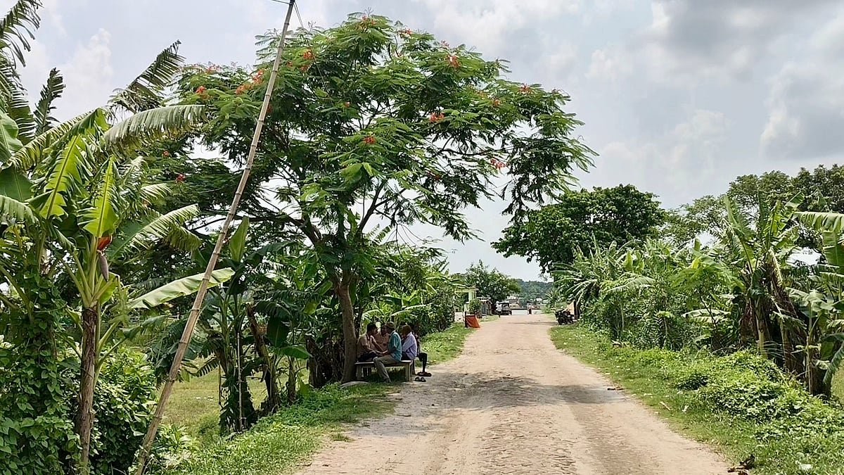একাত্তরের স্মৃতি ১৯৭১টি গাছে