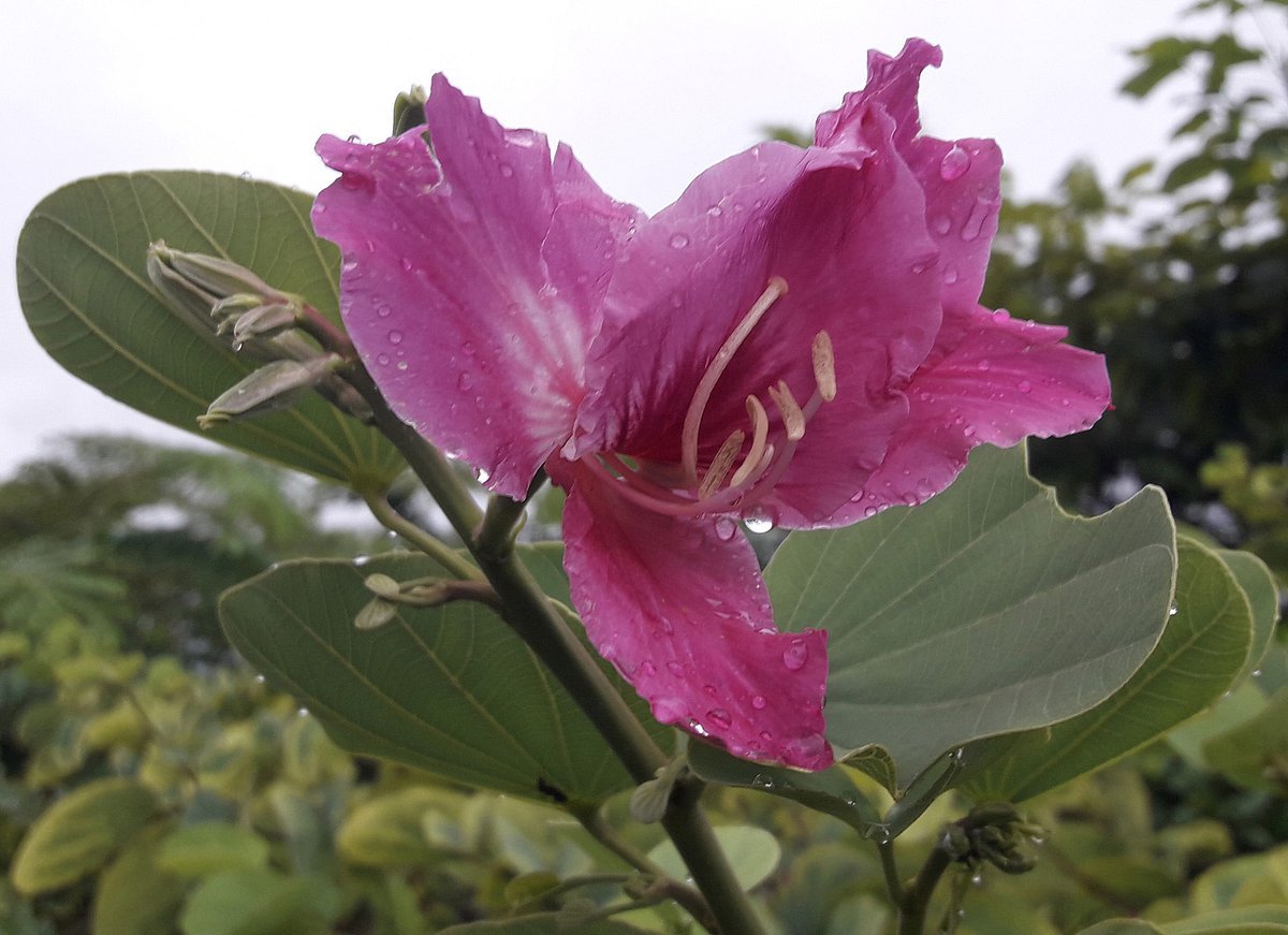 একঝলক (২৩ সেপ্টেম্বর ২০২৬)