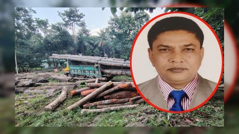 দুর্নীতির বরপুত্র ডিএফও মোস্তাফিজ!