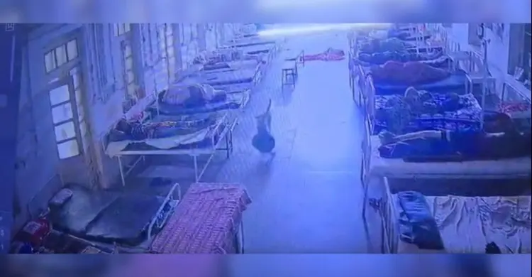 হাসপাতাল থেকে সোনার গহনা উধাও, সিসিটিভিতে মিলল ‘আজব চোর’