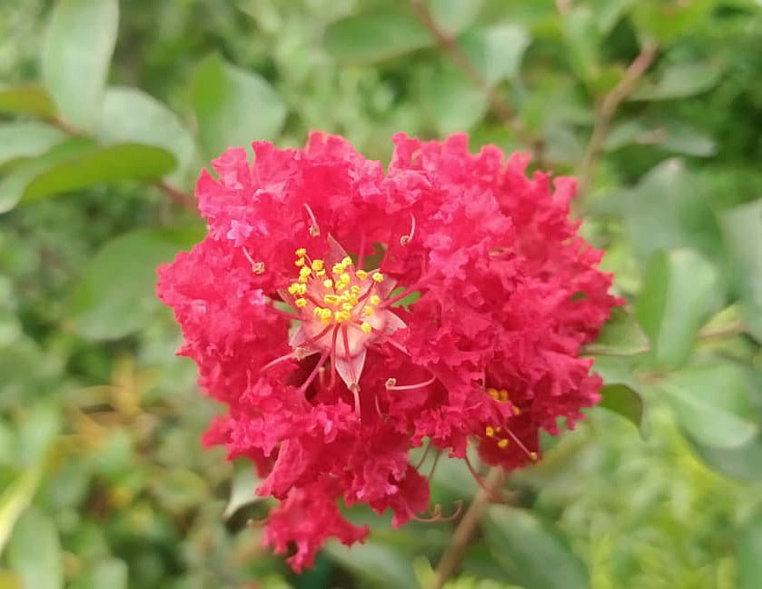 একঝলক (৩ সেপ্টেম্বর ২০২৬)