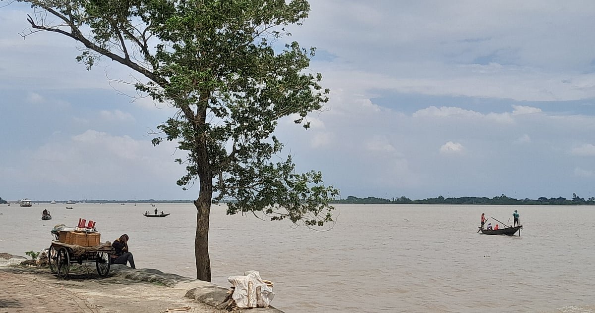 পাঠকের ছবি (১২ সেপ্টেম্বর ২০২৬)