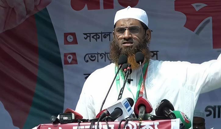 গণভোটের রায় বাস্তবায়ন করেই সরকারকে ক্ষমতা ছাড়তে হবে: মামুনুল হক