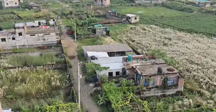 বড়দেশীতে অপরাধের শেকড় কোথায়
