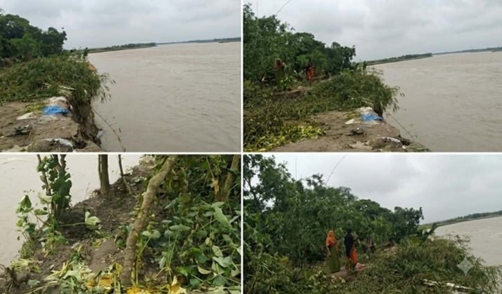 নাটোরে পদ্মায় বিলীন ৩৫ বসতঘর, ভাঙনের মুখে শতাধিক পরিবার